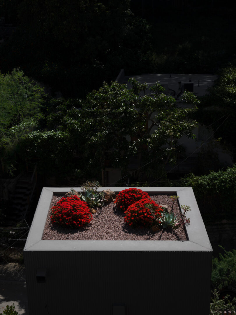 Museum Dr. Los Angeles, CA