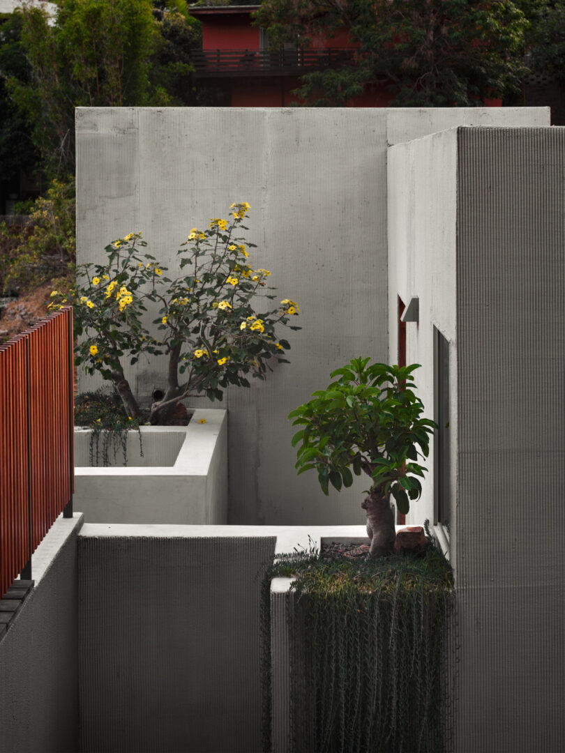 Museum Dr. Los Angeles, CA