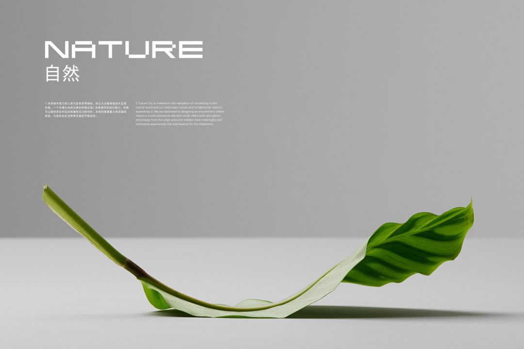 C Future City / Stockholm Design Lab