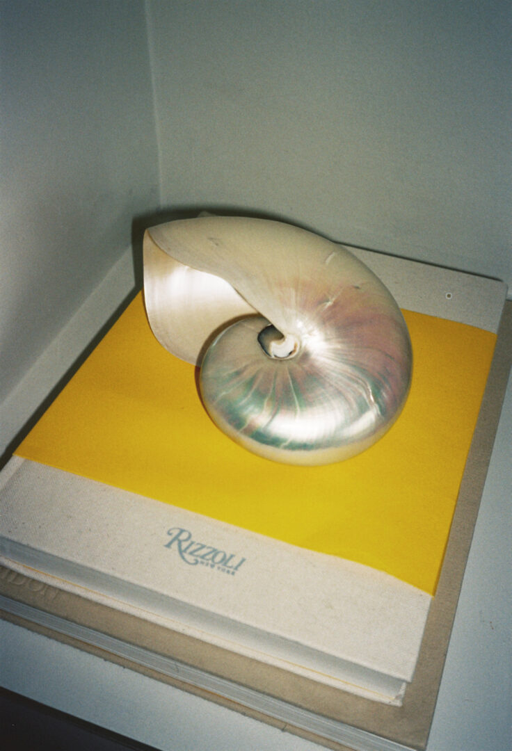 TWWP / Mathilda Brusewitz Dahlberg